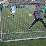 karne Michałki - Drewmex 1