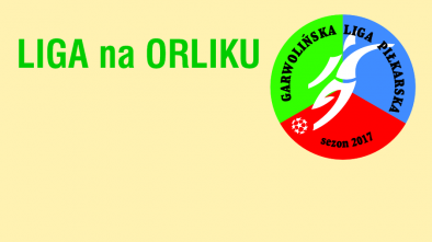 orlik logo do inernetu